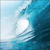 image001.gif